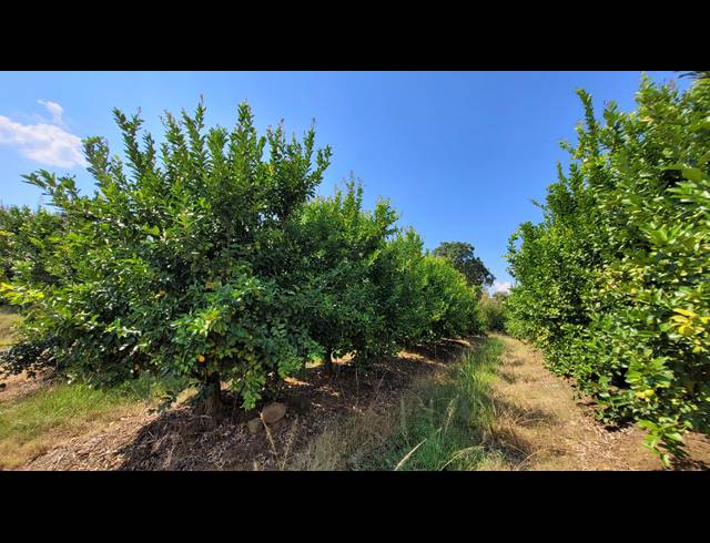 135HA FARM FOR SALE IN NELSPRUIT RURAL
